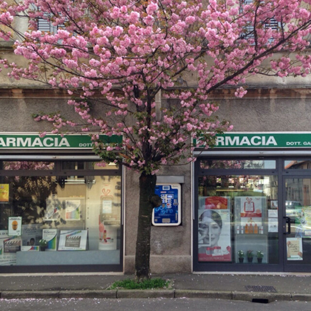 FARMACIA GALBIATI S.N.C.